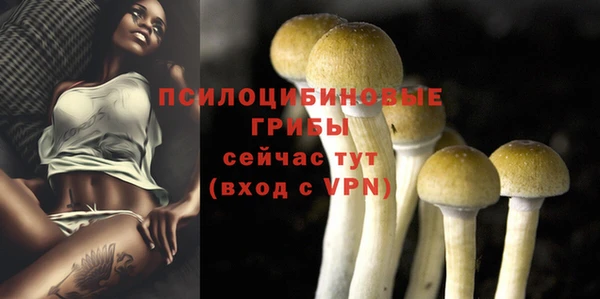 трава Богданович