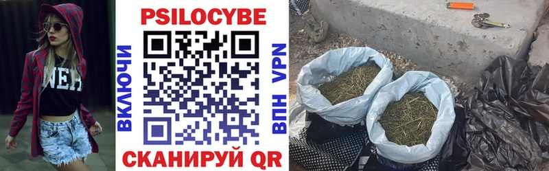 Псилоцибиновые грибы Magic Shrooms  Кстово 