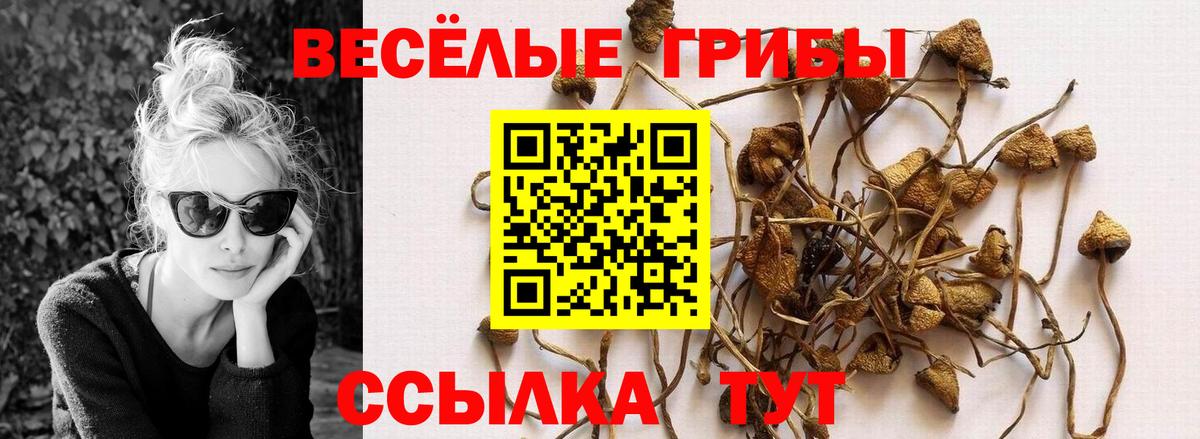 Псилоцибиновые грибы прущие грибы Кстово
